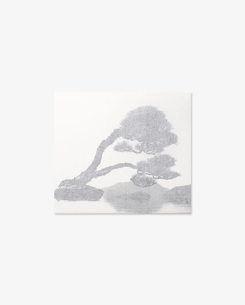 BONSAI - Microcosms Macrocosms