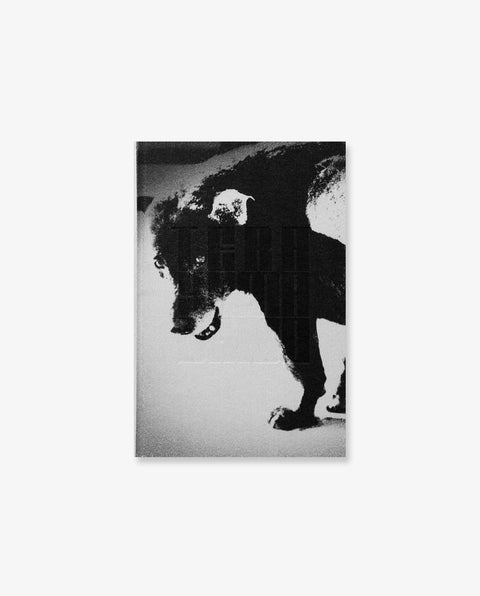 Daido Moriyama: Terayama