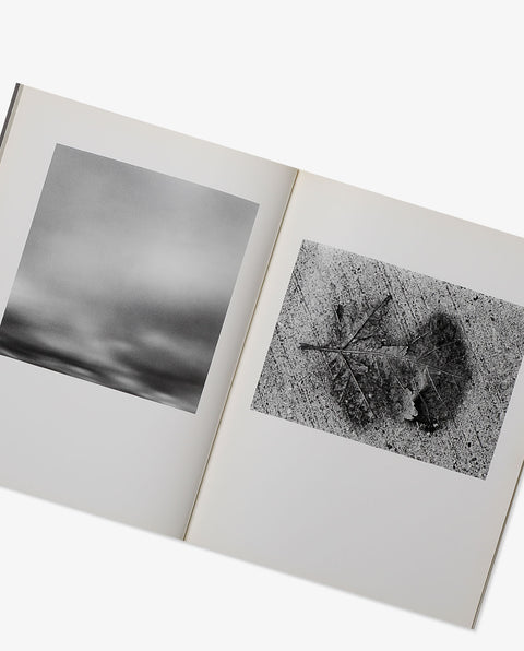 Yasuhiro Ishimoto remembrance of things present