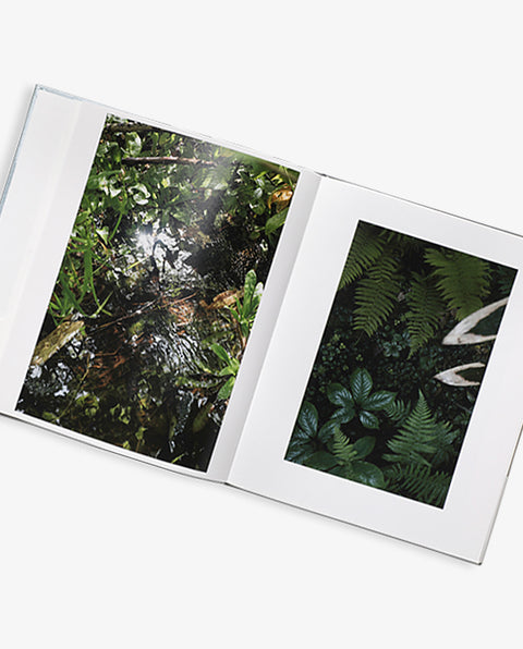 THE TIME RULED BY SNOW