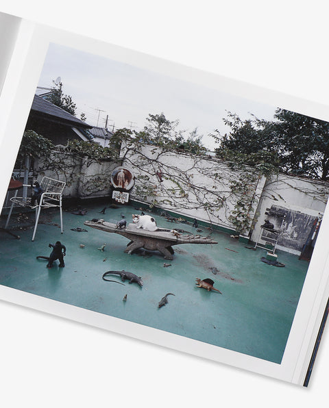 OJO SHASHU: Photography for the Afterlife