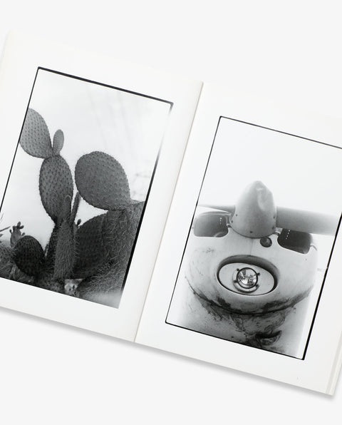 Cactus and Tail
