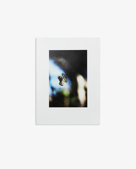liminal (eyes) YAMAGAMI