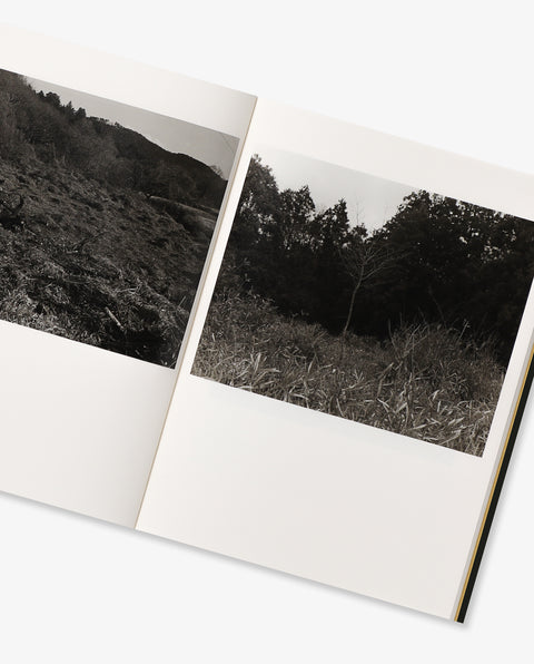 Withering Field