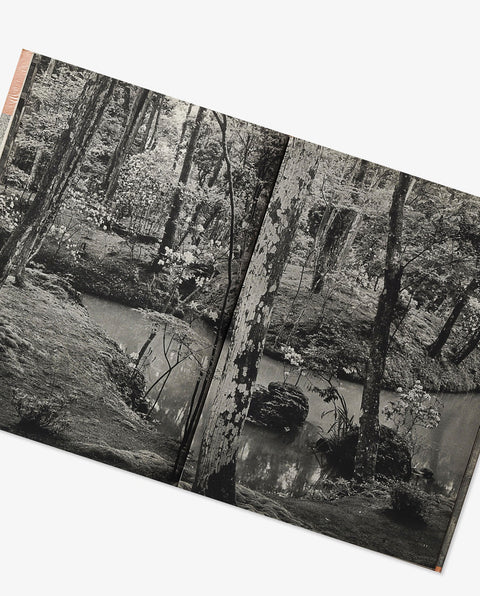 Saihoji / Ryoanji (Japanese temple)