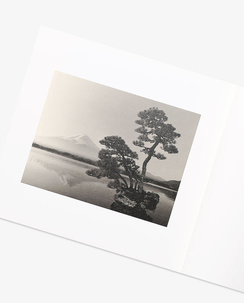 BONSAI - Microcosms Macrocosms