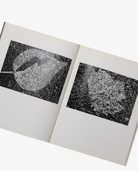 Yasuhiro Ishimoto remembrance of things present