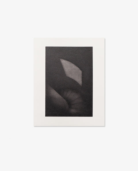 Chieko Shiraishi| SHIMAKAGE