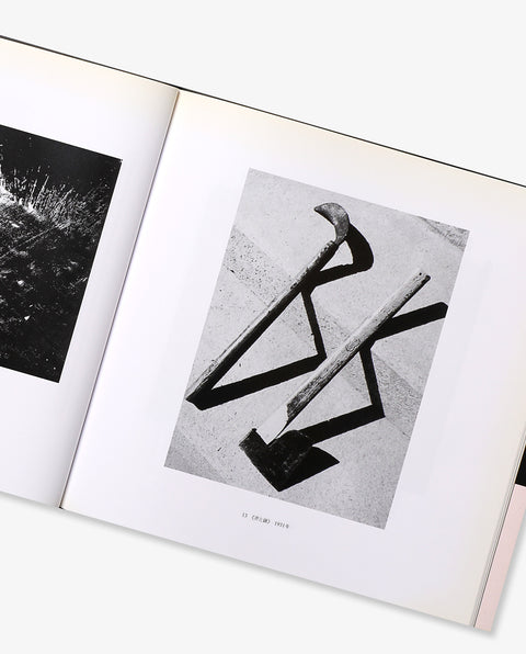 Yasui Nakaji: Japanese Photographers Series vol.9