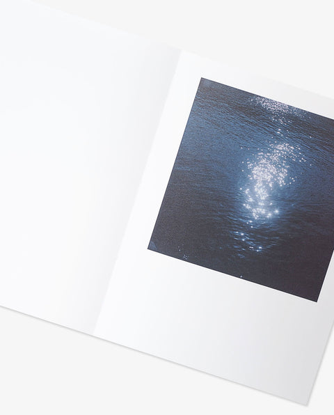 Floating Landscape