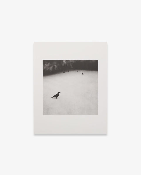 Toshiya Watanabe| Selected Works