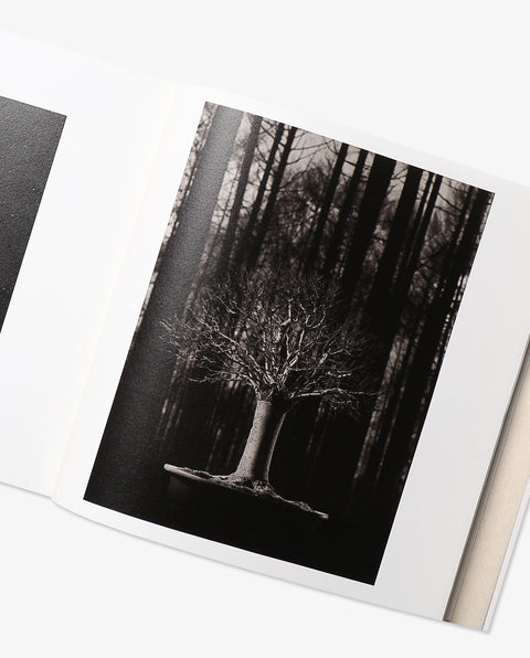 BONSAI - Microcosms Macrocosms