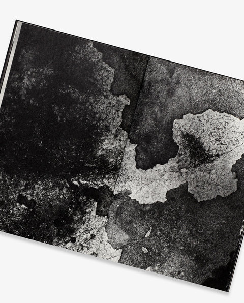 The Map (Reprint Edition)
