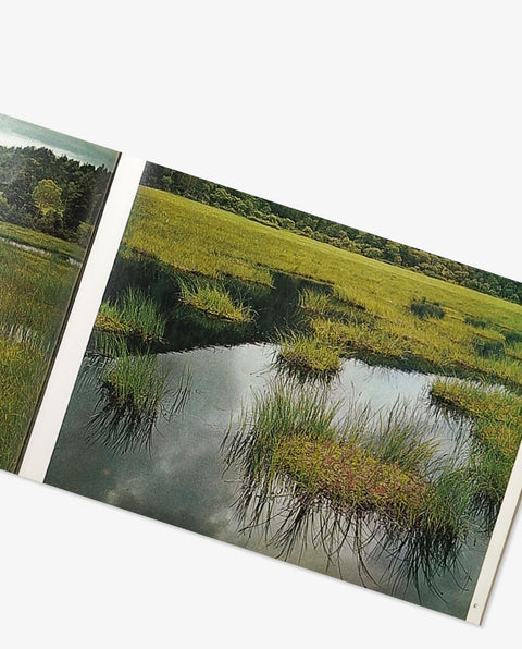 Landscapes of Japan
