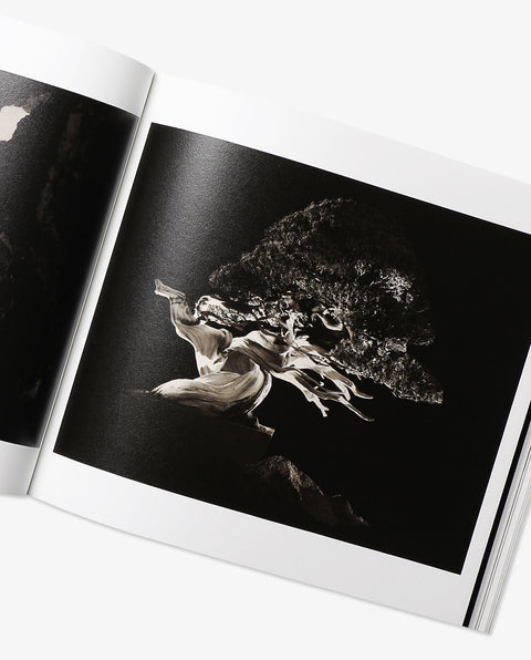 BONSAI - Microcosms Macrocosms