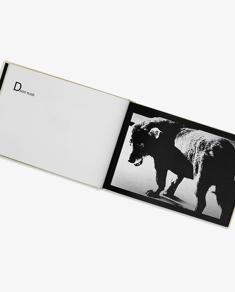 DAIDO SLIDE