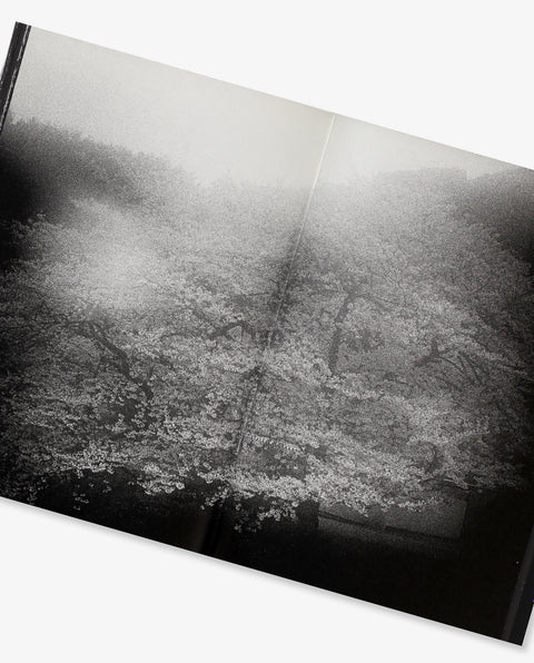 Daido Moriyama: Ango