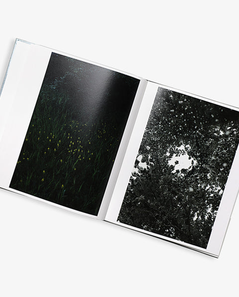 THE TIME RULED BY SNOW