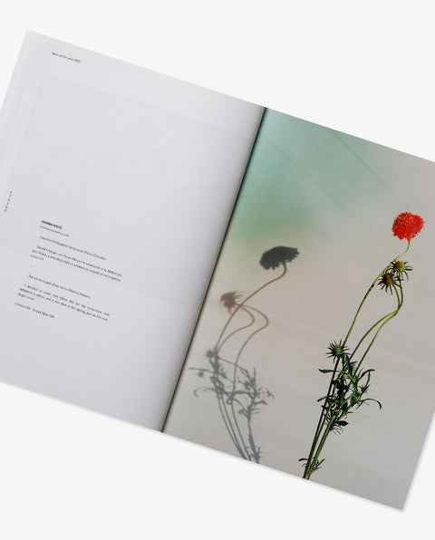 CARMENCITA BEST OF 2021