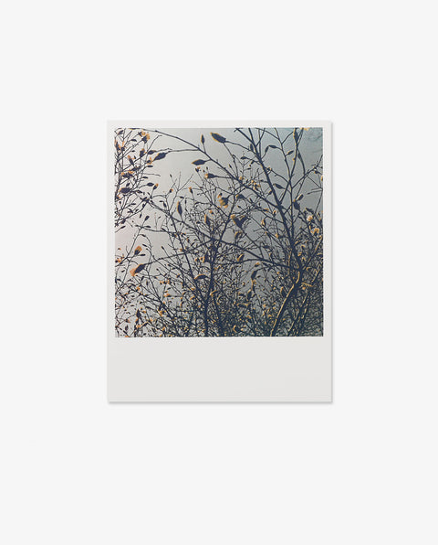 Rinko Kawauchi|Early Works 1997