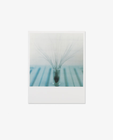 Rinko Kawauchi|Early Works 1997