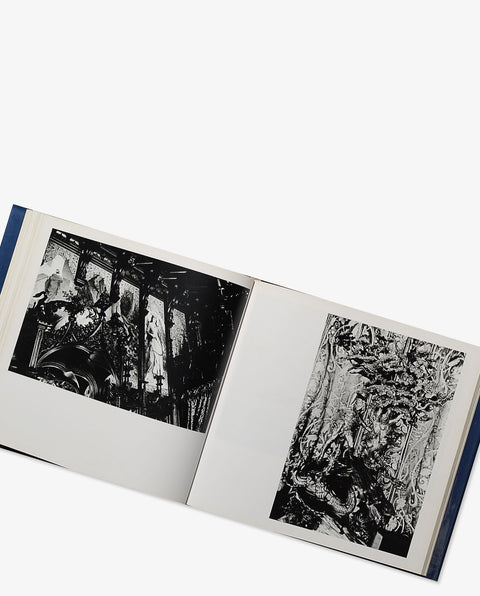 Cosmos of the Dream King