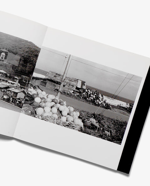 IN' The fortune of urban cities which they themselves have dreamed of