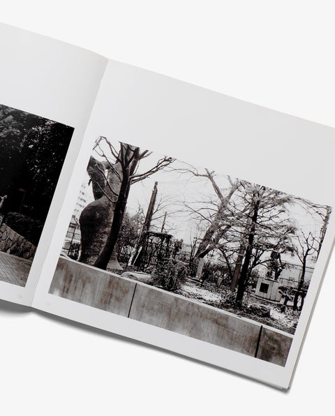 IN' The fortune of urban cities which they themselves have dreamed of