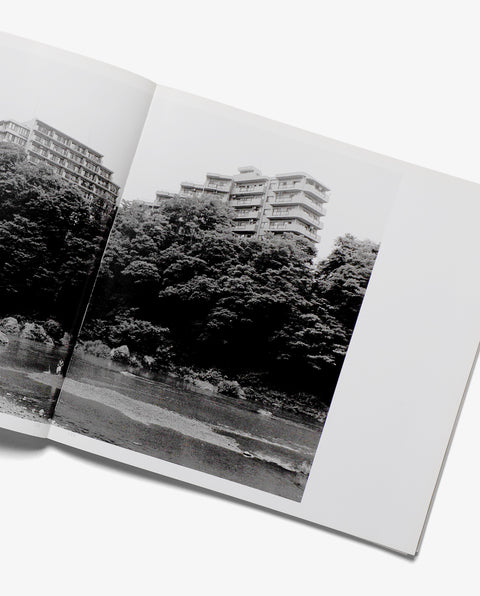 IN' The fortune of urban cities which they themselves have dreamed of