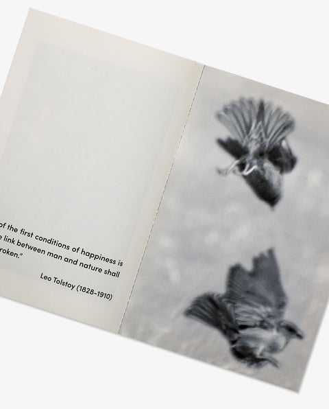 Mēdeia2.0 ISSUE N˚05