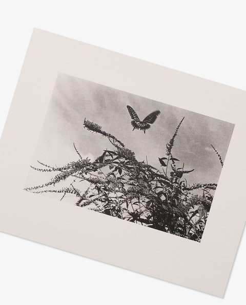Koji Onaka|Slow Boat