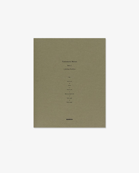 Yamamoto Masao|Birds 2