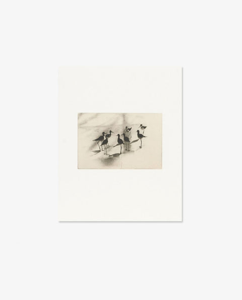 Yamamoto Masao|Birds 2