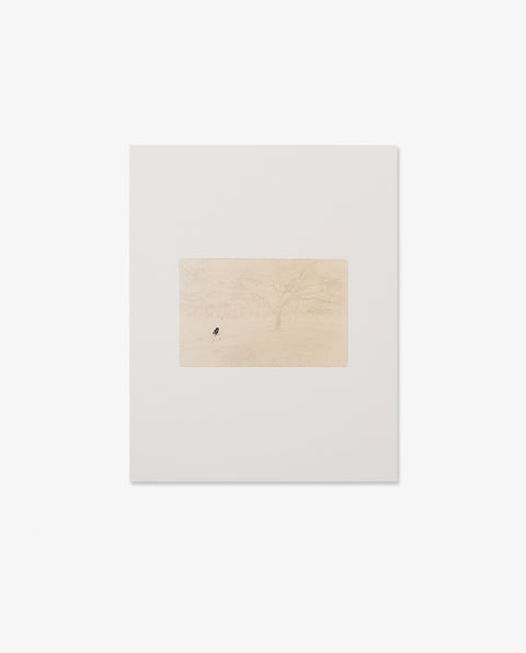 Miho Kajioka|memories of future