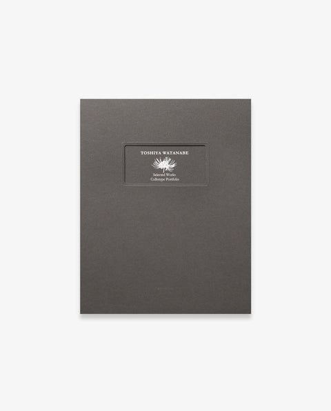 Toshiya Watanabe｜ Selected Works