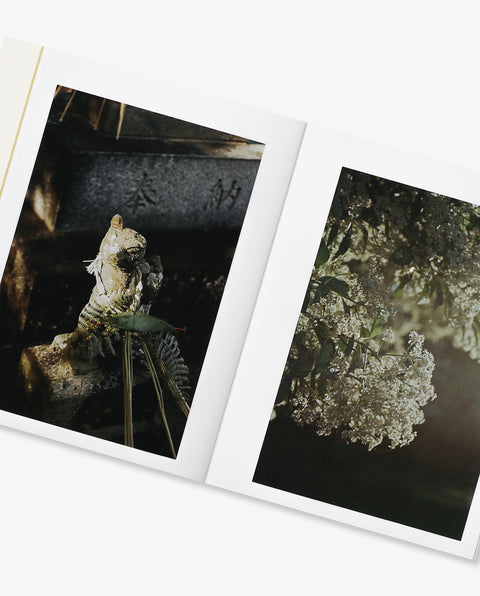 Finding Annu Aalto