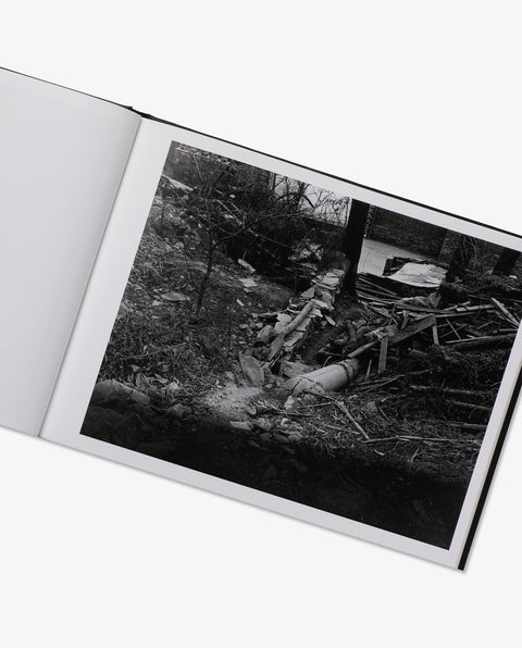 SKELETON GOATS DUST STORMS