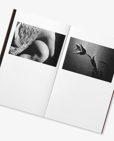 Daido Moriyama: Sunflower