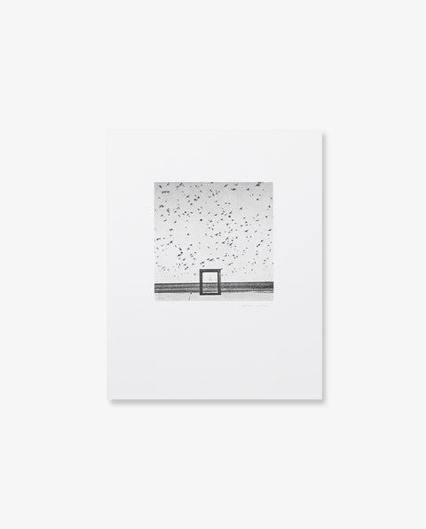 Shoji Ueda｜Gone Are the Days