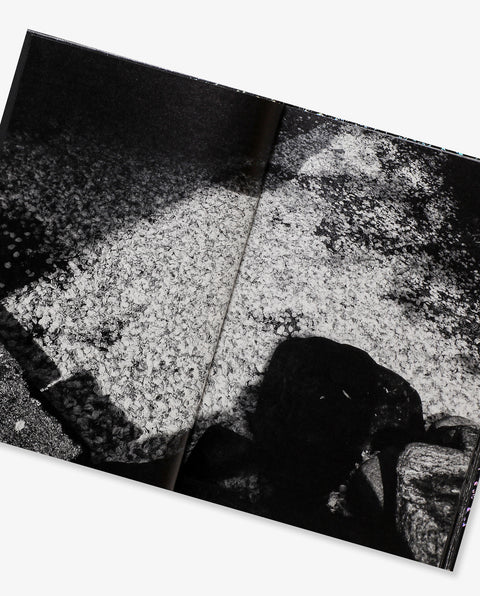 Daido Moriyama: Ango