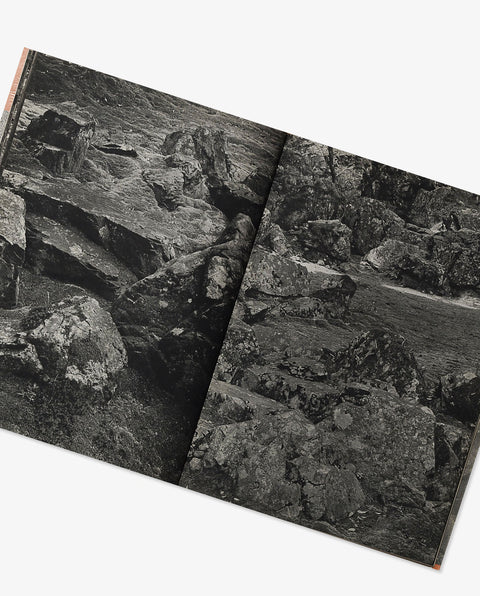 Saihoji / Ryoanji (Japanese temple)