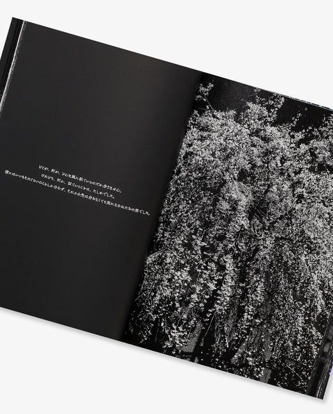 Daido Moriyama: Ango