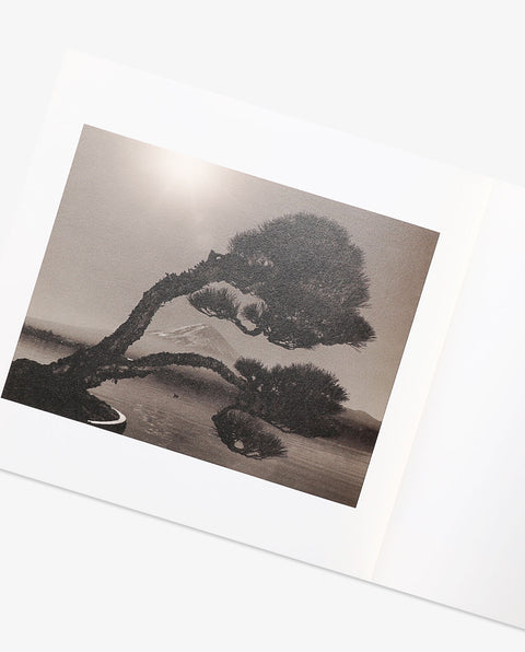 BONSAI - Microcosms Macrocosms