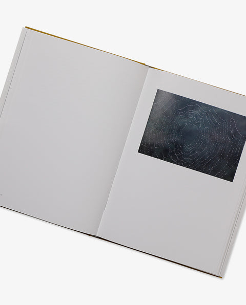 Inhabiting Light Dialogue on the Edge of the Everyday World