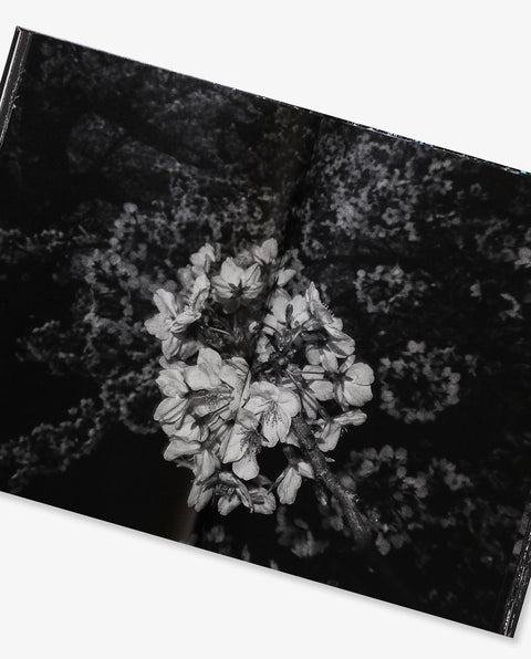 Daido Moriyama: Ango