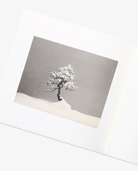 BONSAI - Microcosms Macrocosms