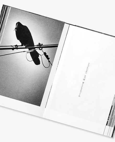 Daido Moriyama: Terayama