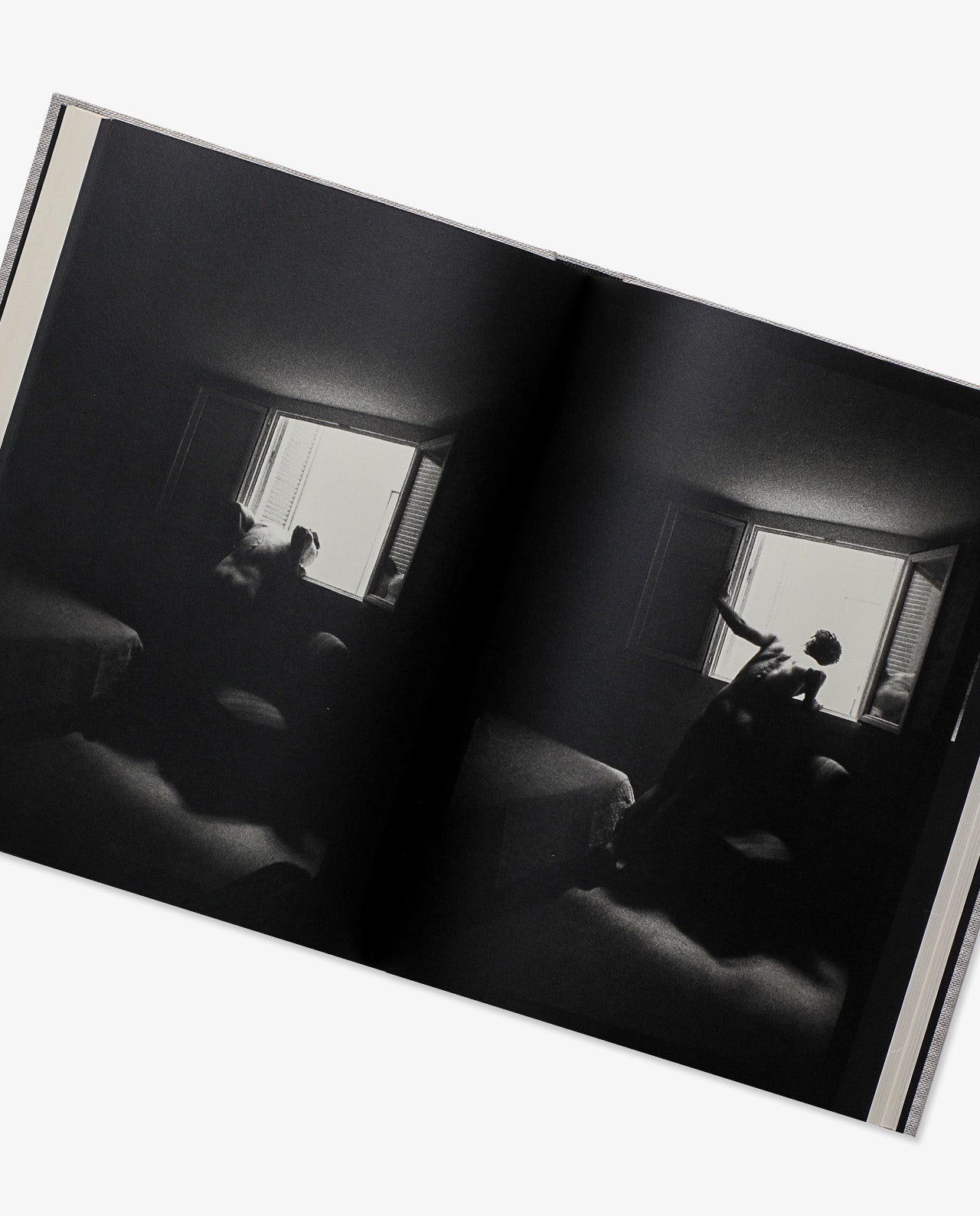 Lirio – BOOK AND SONS
