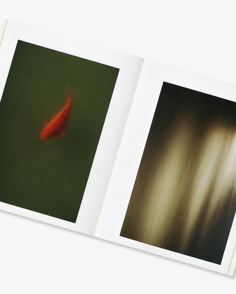 Finding Annu Aalto