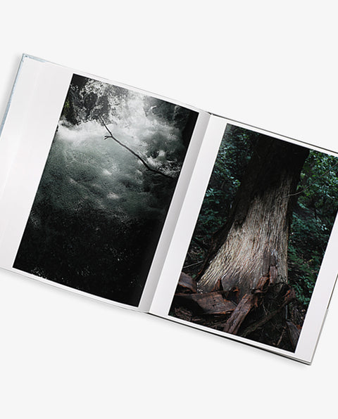 THE TIME RULED BY SNOW